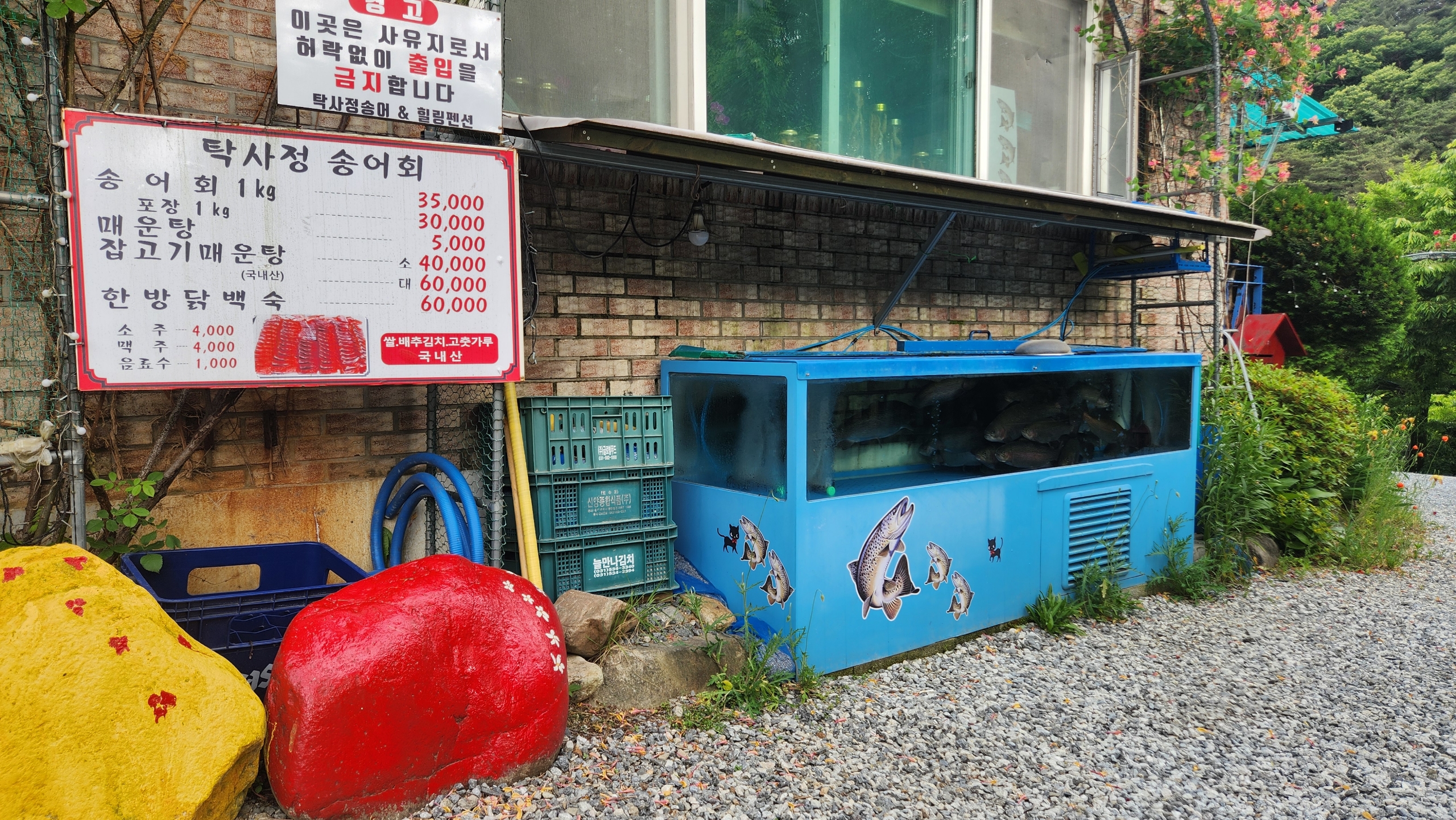 메뉴 이미지