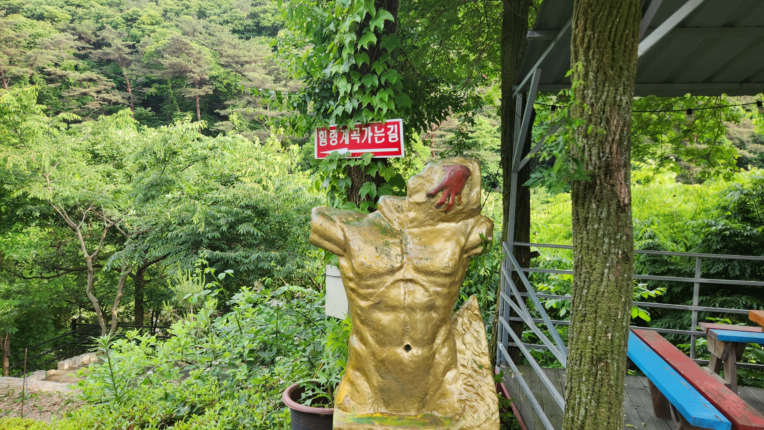 메뉴 이미지