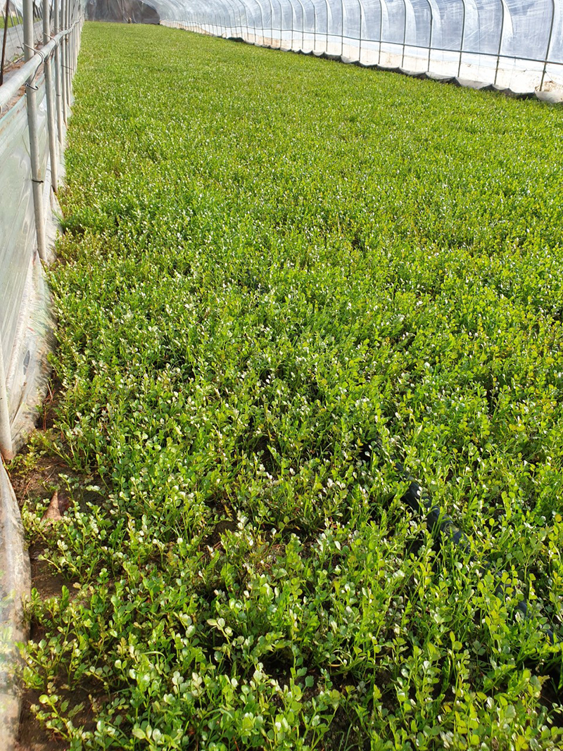 미래농장 이미지