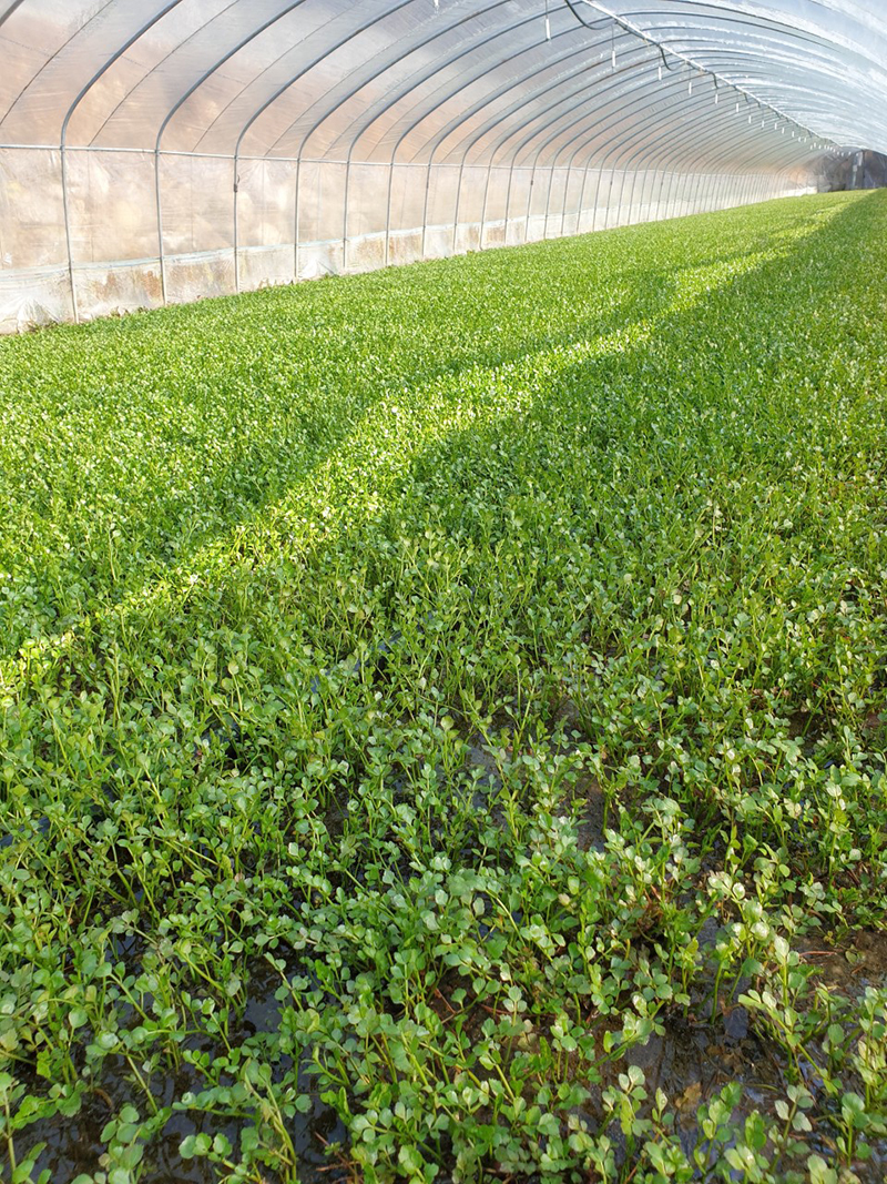 미래농장 이미지