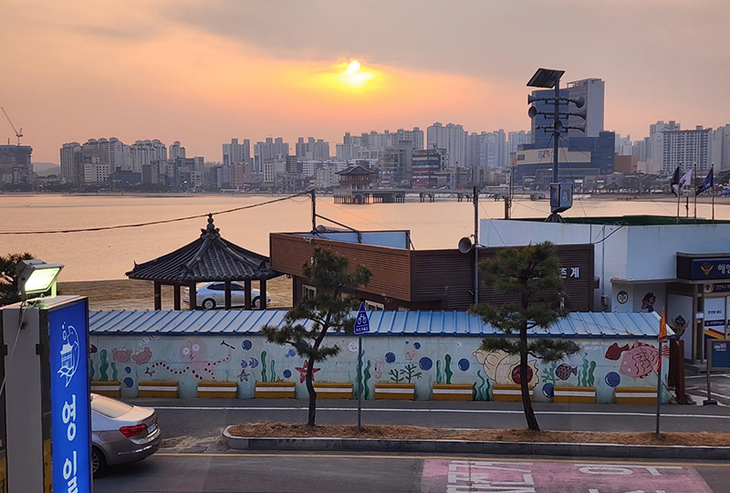 갤러리 이미지