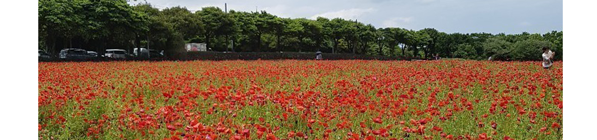 소개 메인 이미지