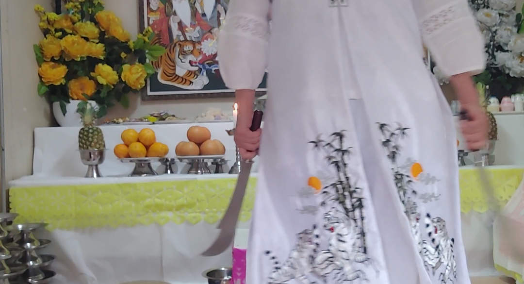 갤러리 이미지