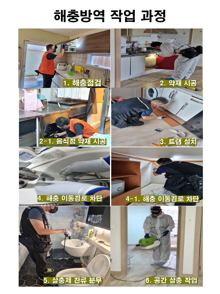스카이케어존 이미지