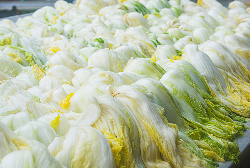 절임배추 주문 받습니다