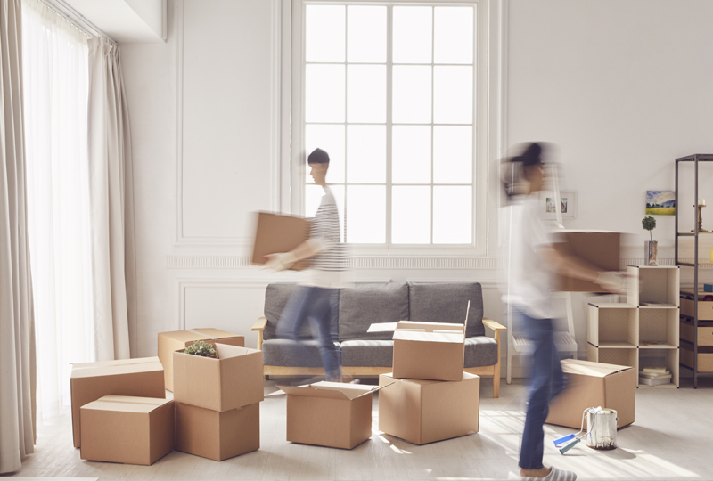 정확한 정리 / 깔끔한 마무리